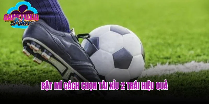 Bật mí cách chọn tài xỉu 2 trái hiệu quả