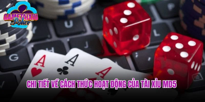 Chi tiết về cách thức hoạt động của tài xỉu MD5