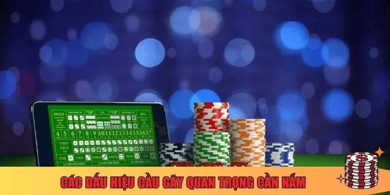 Các dấu hiệu cầu gãy quan trọng cần nắm 